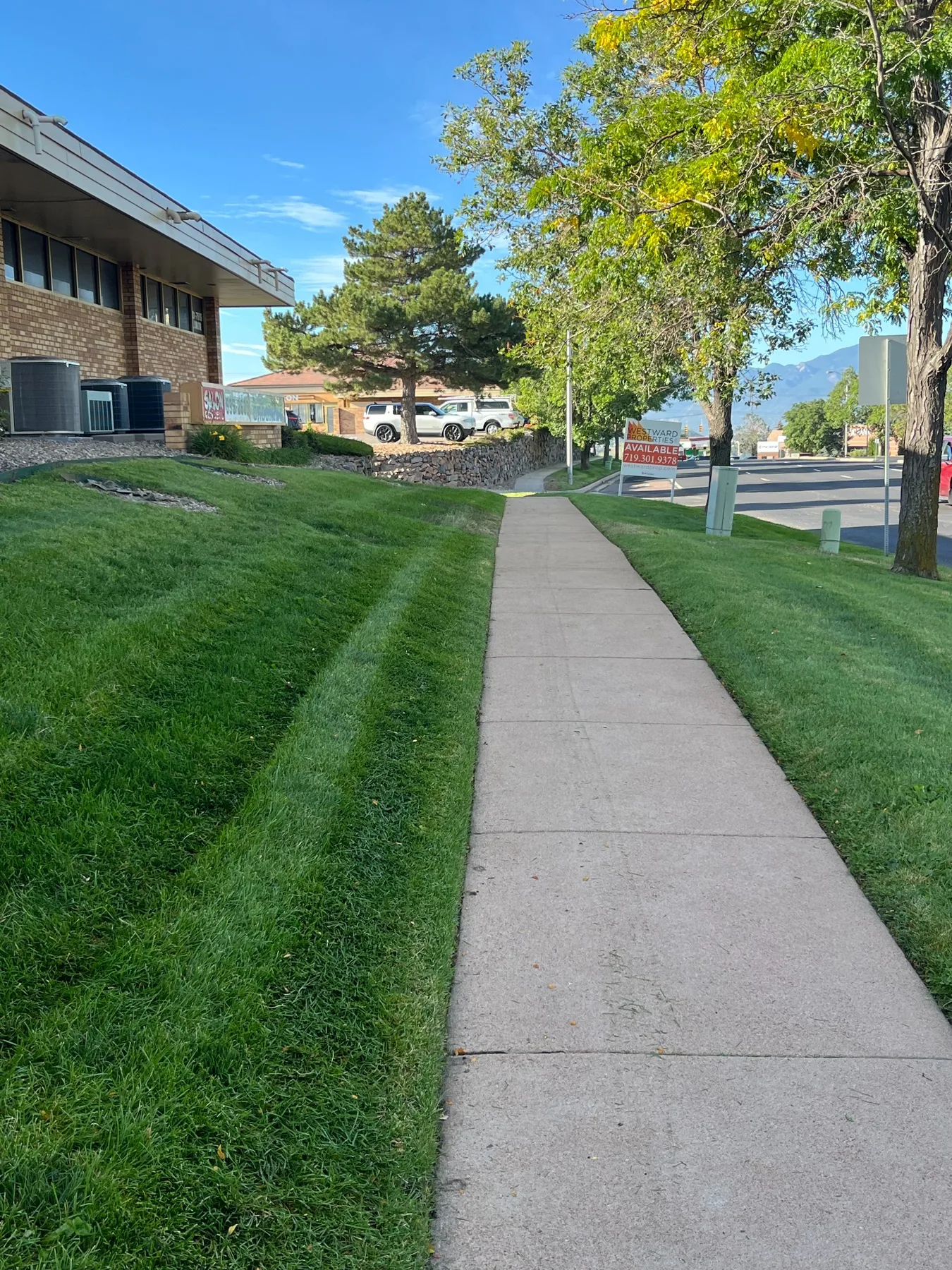 Clean mowing and edging along sidewalk